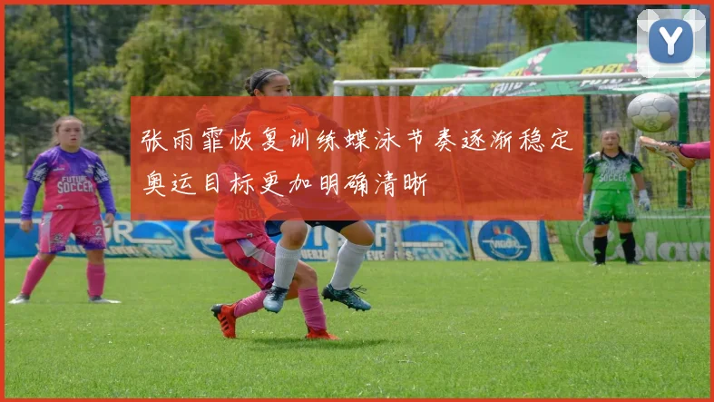 张雨霏恢复训练蝶泳节奏逐渐稳定奥运目标更加明确清晰