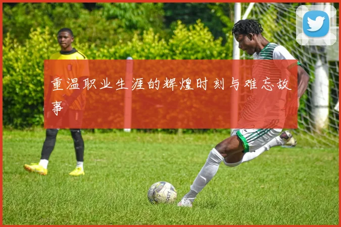 重温职业生涯的辉煌时刻与难忘故事